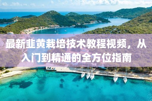 最新韭黃栽培技術(shù)教程視頻，從入門到精通的全方位指南