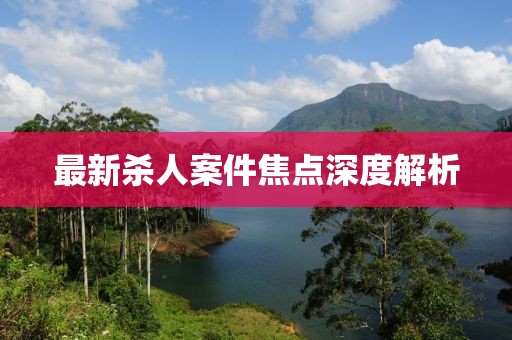 最新殺人案件焦點深度解析