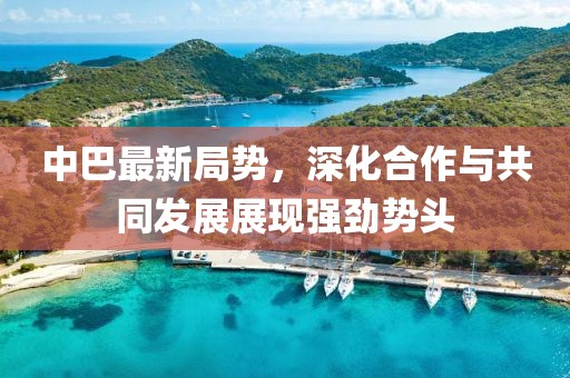 中巴最新局勢，深化合作與共同發展展現強勁勢頭