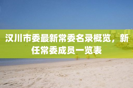 漢川市委最新常委名錄概覽，新任常委成員一覽表