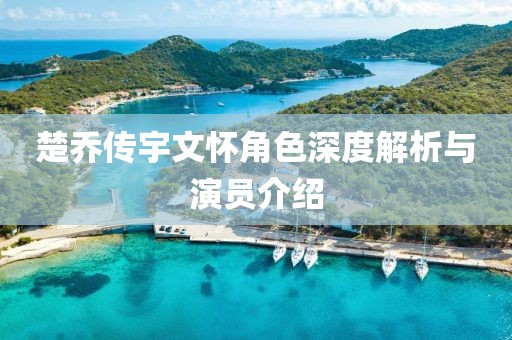 楚喬傳宇文懷角色深度解析與演員介紹