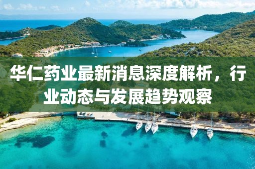 華仁藥業(yè)最新消息深度解析，行業(yè)動(dòng)態(tài)與發(fā)展趨勢(shì)觀察