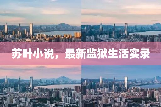 蘇葉小說，最新監(jiān)獄生活實錄