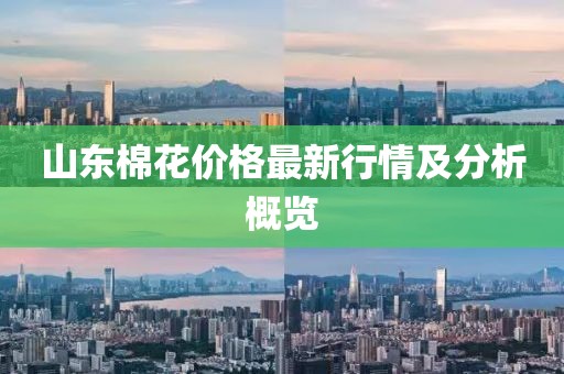 山東棉花價格最新行情及分析概覽