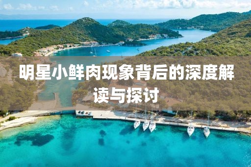 明星小鮮肉現(xiàn)象背后的深度解讀與探討
