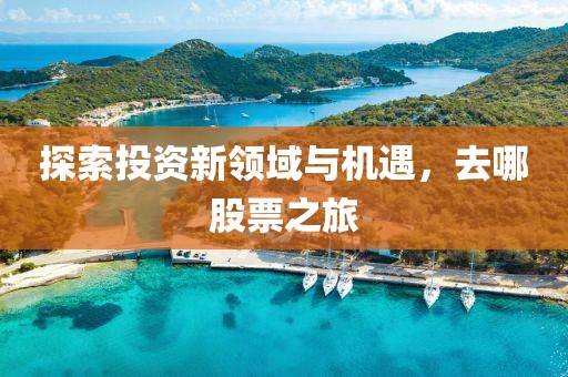探索投資新領(lǐng)域與機(jī)遇，去哪股票之旅