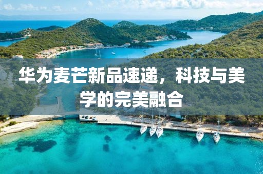 華為麥芒新品速遞，科技與美學(xué)的完美融合