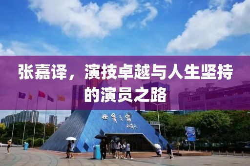 張嘉譯，演技卓越與人生堅(jiān)持的演員之路