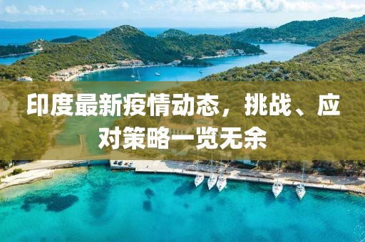 印度最新疫情動(dòng)態(tài)，挑戰(zhàn)、應(yīng)對(duì)策略一覽無(wú)余