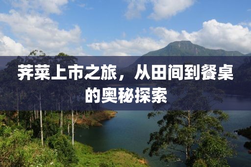 薺菜上市之旅，從田間到餐桌的奧秘探索