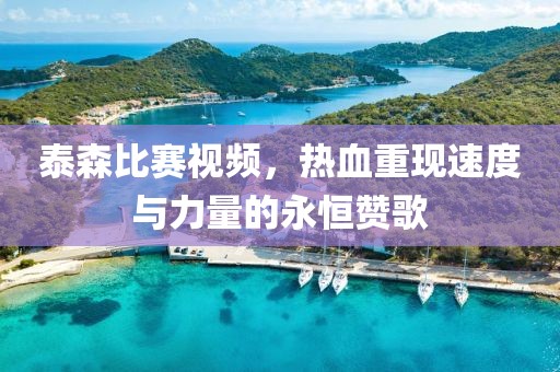 泰森比賽視頻，熱血重現(xiàn)速度與力量的永恒贊歌
