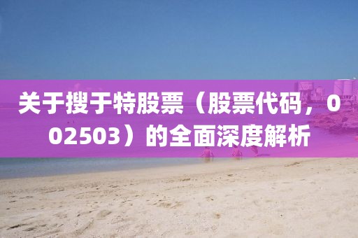 關(guān)于搜于特股票（股票代碼，002503）的全面深度解析