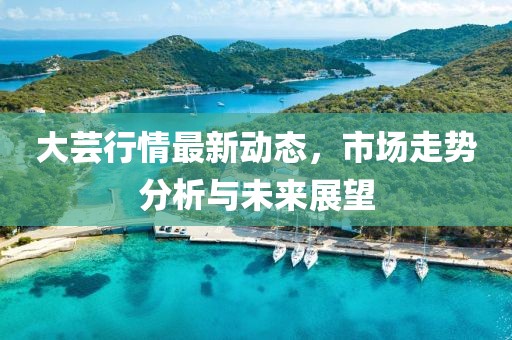 大蕓行情最新動(dòng)態(tài)，市場(chǎng)走勢(shì)分析與未來(lái)展望