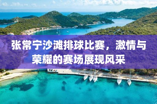 張常寧沙灘排球比賽，激情與榮耀的賽場(chǎng)展現(xiàn)風(fēng)采