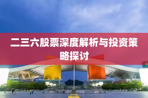 二三六股票深度解析與投資策略探討