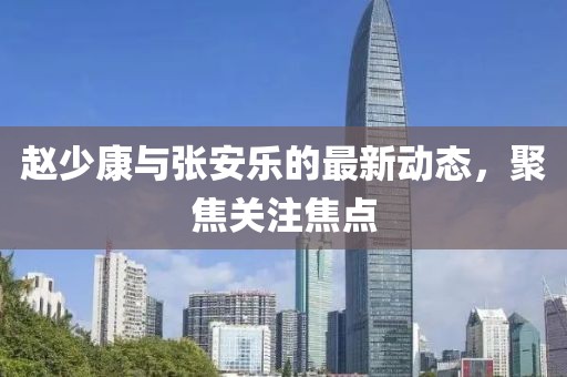 趙少康與張安樂的最新動態(tài)，聚焦關(guān)注焦點