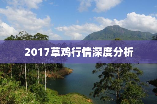 2017草雞行情深度分析