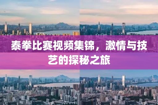 泰拳比賽視頻集錦，激情與技藝的探秘之旅
