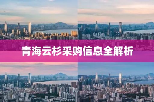 青海云杉采購信息全解析