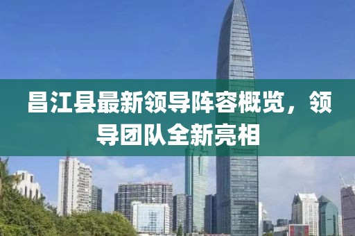 昌江縣最新領(lǐng)導(dǎo)陣容概覽，領(lǐng)導(dǎo)團(tuán)隊(duì)全新亮相