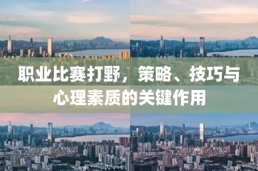 職業(yè)比賽打野，策略、技巧與心理素質(zhì)的關(guān)鍵作用