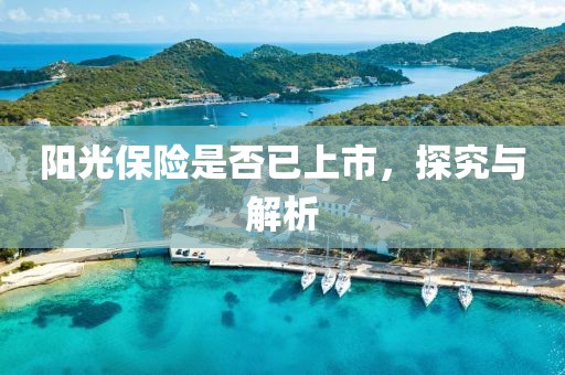 陽光保險(xiǎn)是否已上市，探究與解析