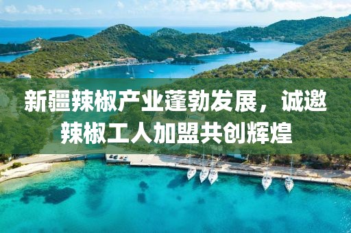 新疆辣椒產(chǎn)業(yè)蓬勃發(fā)展，誠邀辣椒工人加盟共創(chuàng)輝煌