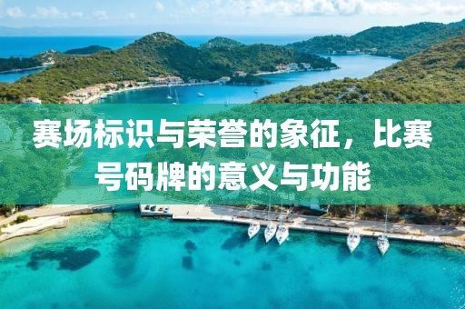 賽場標(biāo)識與榮譽的象征，比賽號碼牌的意義與功能