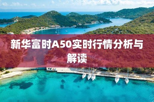 新華富時(shí)A50實(shí)時(shí)行情分析與解讀