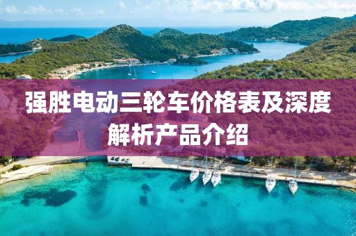 強(qiáng)勝電動(dòng)三輪車價(jià)格表及深度解析產(chǎn)品介紹