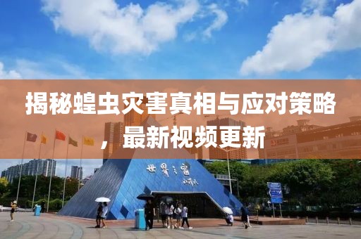揭秘蝗蟲災(zāi)害真相與應(yīng)對(duì)策略，最新視頻更新