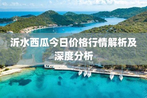 沂水西瓜今日價(jià)格行情解析及深度分析