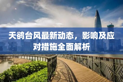 天鵒臺風最新動態(tài)，影響及應對措施全面解析