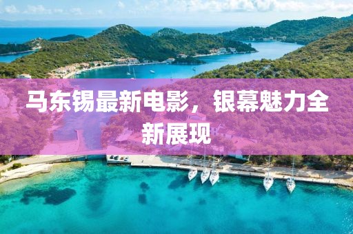 馬東錫最新電影，銀幕魅力全新展現(xiàn)