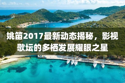 姚笛2017最新動(dòng)態(tài)揭秘，影視歌壇的多棲發(fā)展耀眼之星