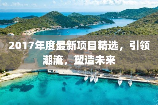 2017年度最新項目精選，引領(lǐng)潮流，塑造未來