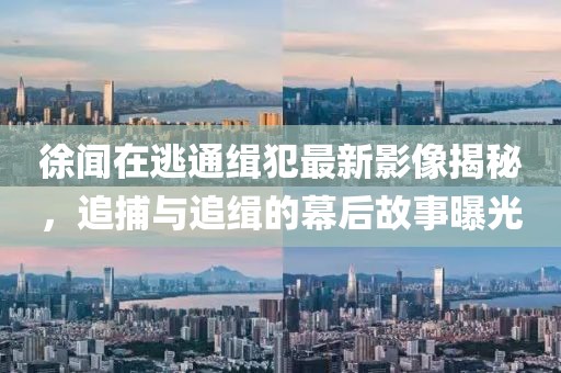 徐聞在逃通緝犯最新影像揭秘，追捕與追緝的幕后故事曝光