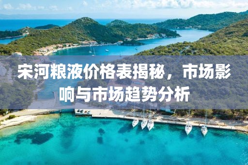 宋河糧液價(jià)格表揭秘，市場(chǎng)影響與市場(chǎng)趨勢(shì)分析