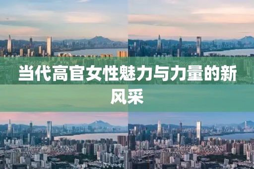 當(dāng)代高官女性魅力與力量的新風(fēng)采
