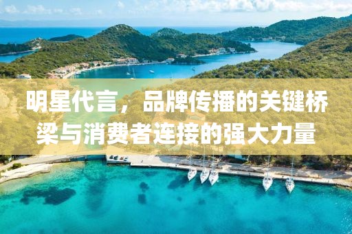 明星代言，品牌傳播的關(guān)鍵橋梁與消費(fèi)者連接的強(qiáng)大力量