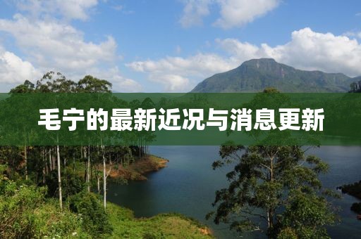 毛寧的最新近況與消息更新