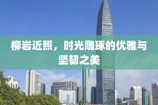 柳巖近照，時光雕琢的優(yōu)雅與堅韌之美