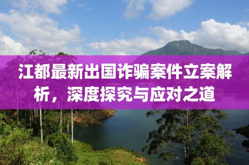 江都最新出國詐騙案件立案解析，深度探究與應(yīng)對之道