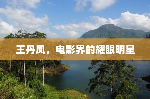 王丹鳳，電影界的耀眼明星
