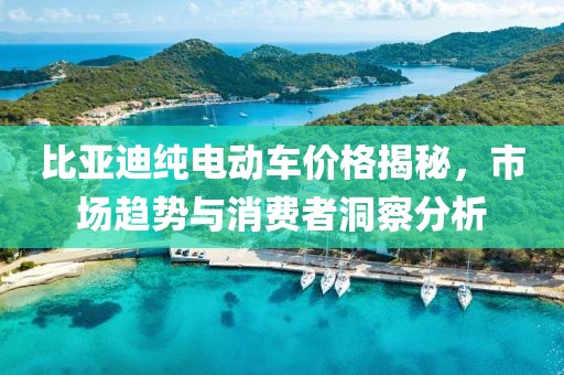 比亞迪純電動車價格揭秘，市場趨勢與消費者洞察分析