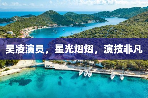 吳凌演員，星光熠熠，演技非凡