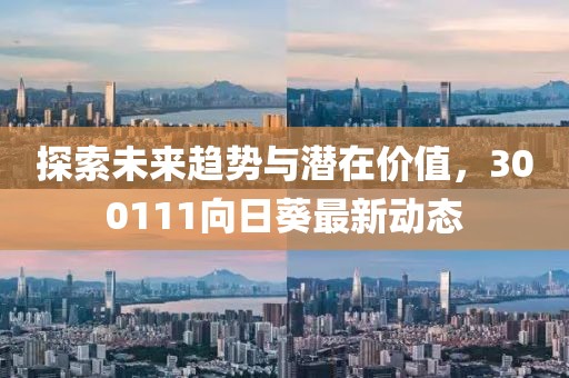 探索未來趨勢與潛在價(jià)值，300111向日葵最新動態(tài)
