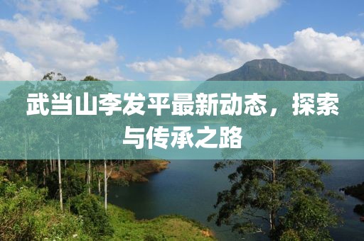 武當(dāng)山李發(fā)平最新動態(tài)，探索與傳承之路