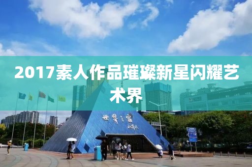 2017素人作品璀璨新星閃耀藝術(shù)界