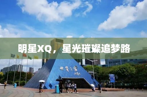 明星XQ，星光璀璨追夢路